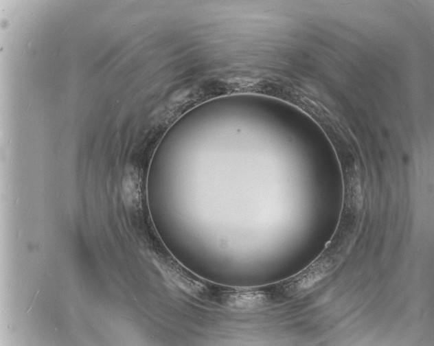 X0000060740274200511171105