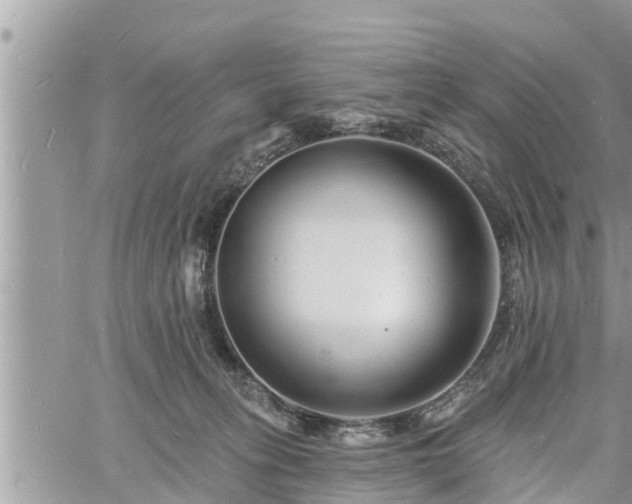 X0000060740275200511171105