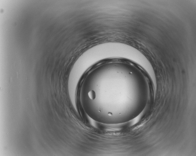 X0000060740278200511171105