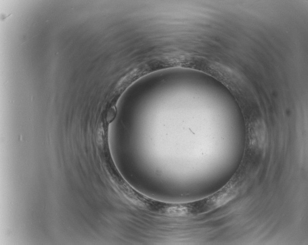 X0000060740279200511171105