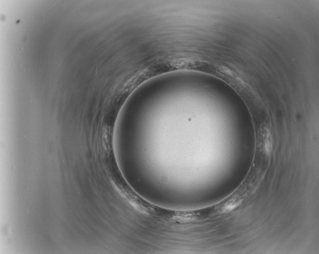 X0000060740280200511171105