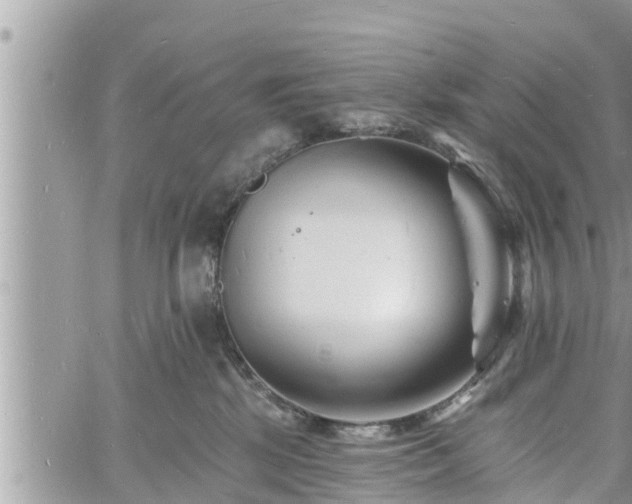 X0000060740281200511171105