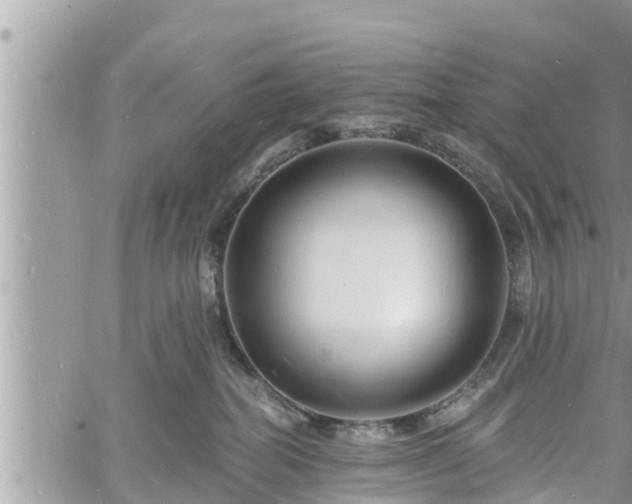 X0000060740282200511171105