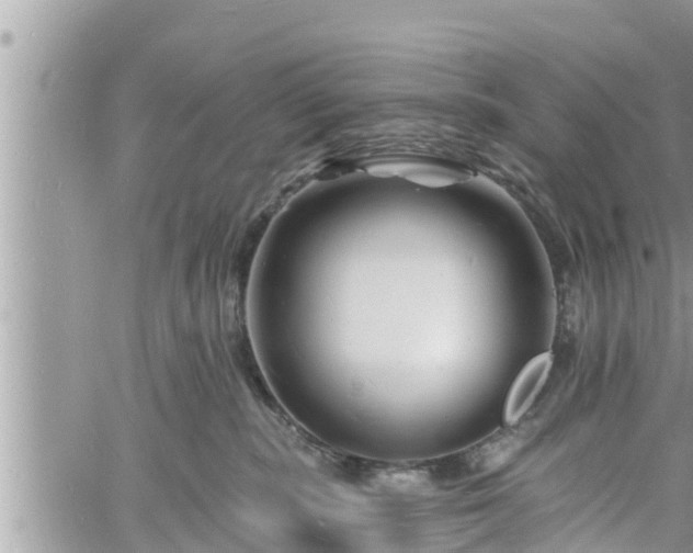 X0000060740283200511171105