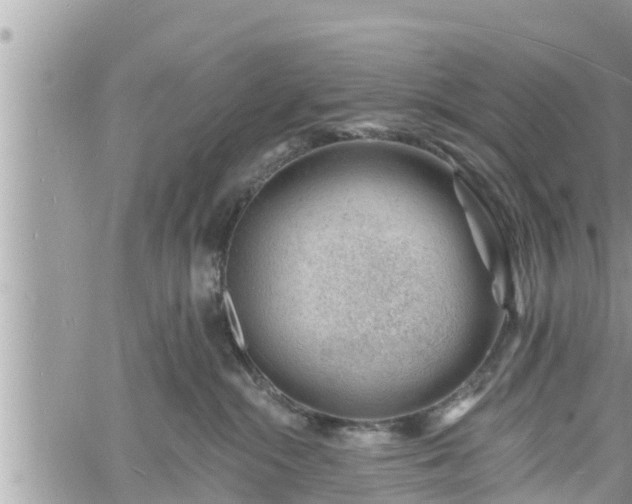 X0000060740284200511171105