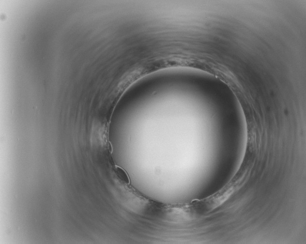 X0000060740285200511171105