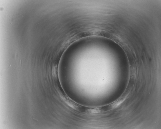 X0000060740286200511171105