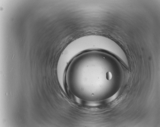 X0000060740288200511171105