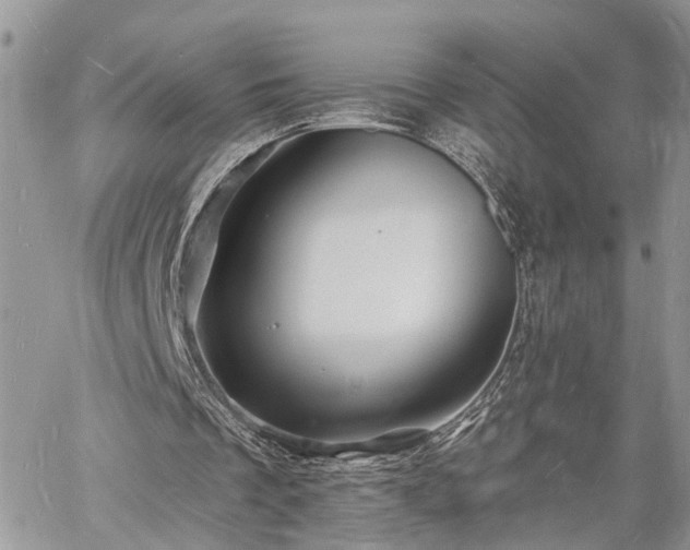 X0000060740289200511171104