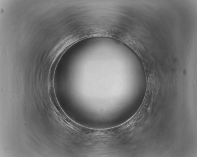 X0000060740290200511171104