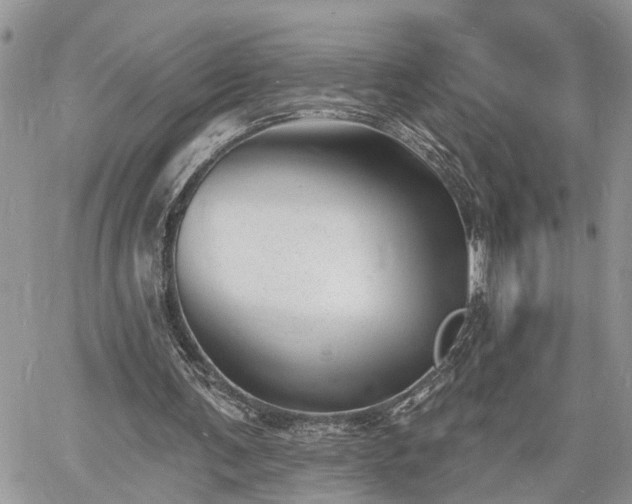 X0000060740291200511171104