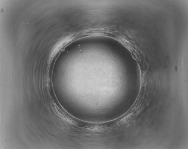 X0000060740293200511171104