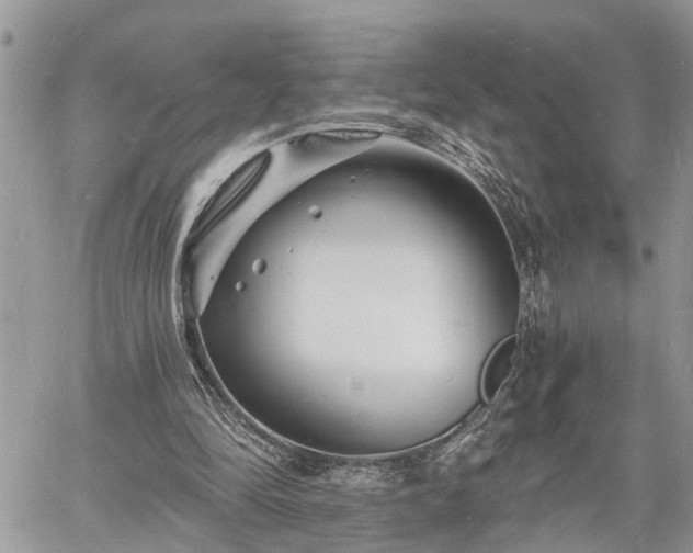 X0000060740294200511171104