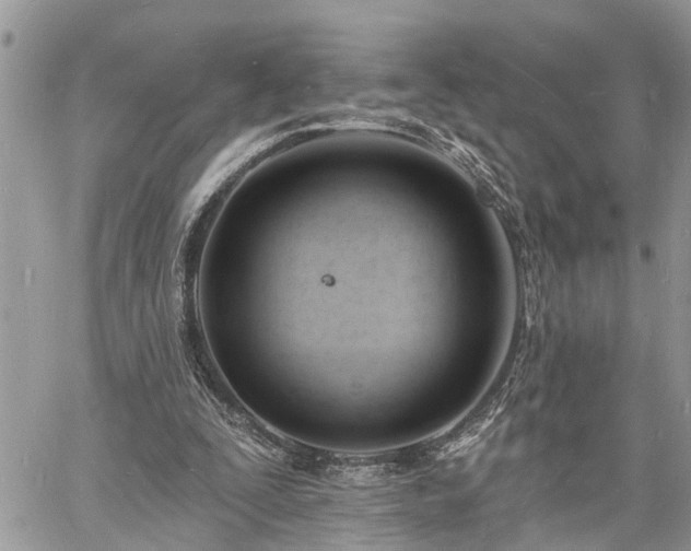 X0000060740295200511171104