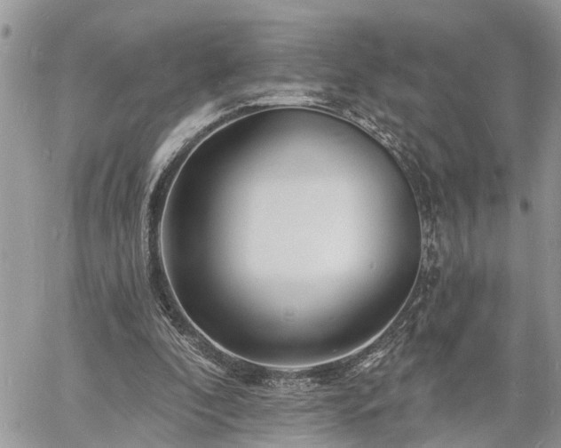 X0000060740296200511171104