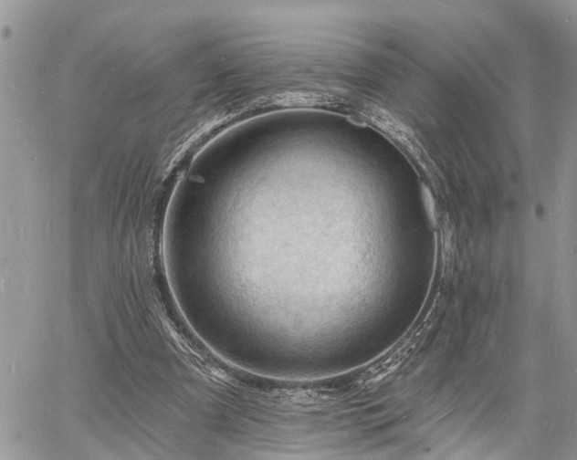 X0000060740297200511171104