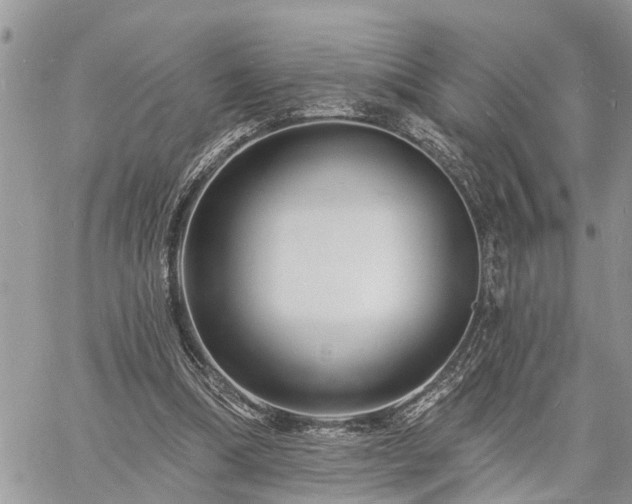 X0000060740298200511171104