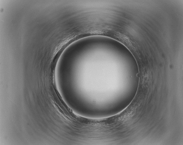 X0000060740299200511171104