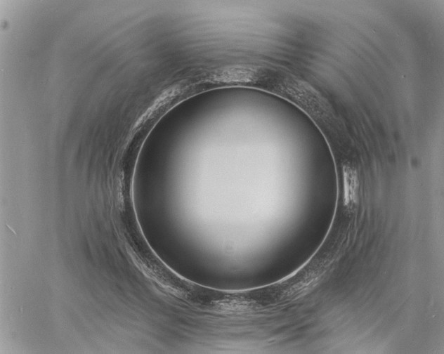 X0000060740300200511171104