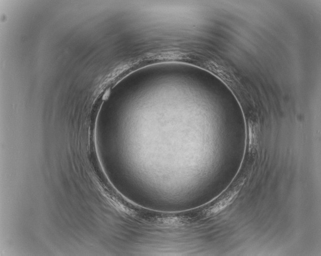 X0000060740301200511171104