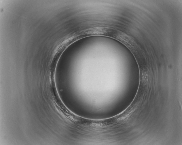 X0000060740302200511171104