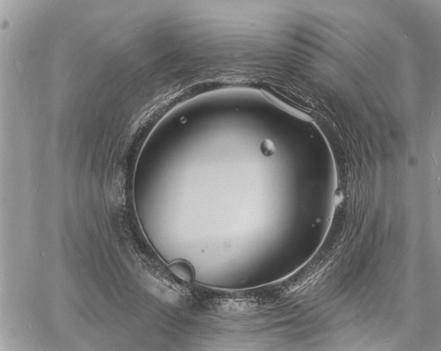 X0000060740303200511171104