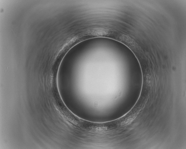 X0000060740304200511171104