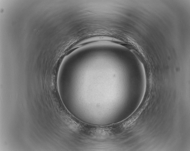 X0000060740305200511171104