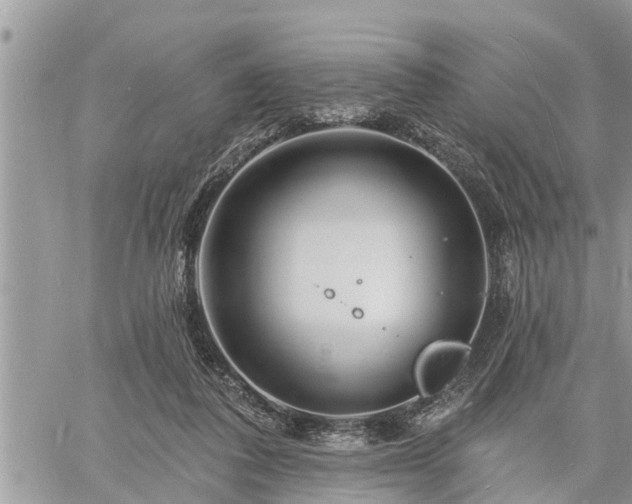 X0000060740308200511171104