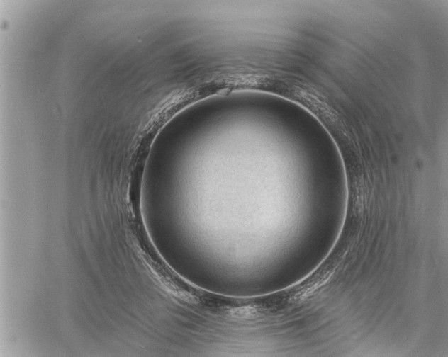 X0000060740309200511171104