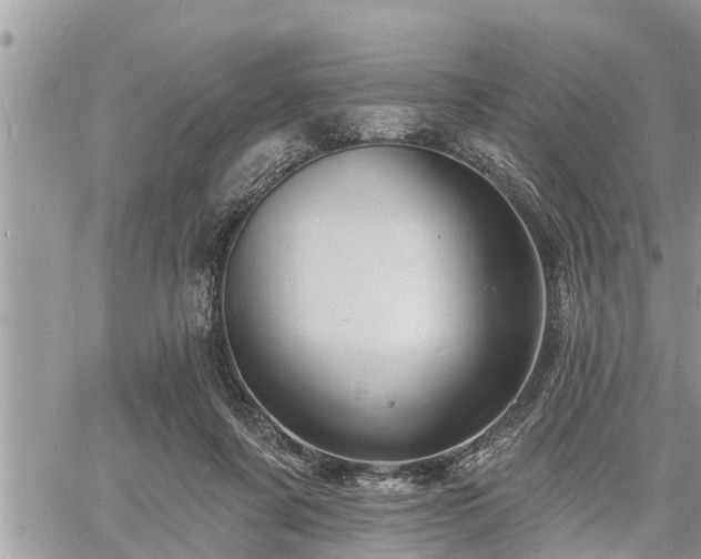 X0000060740311200511171104