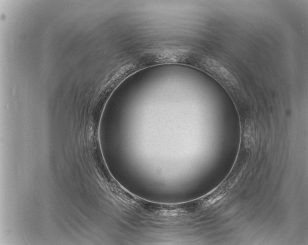 X0000060740314200511171104