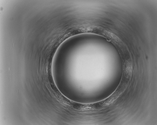 X0000060740315200511171104