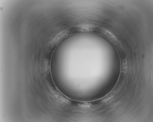 X0000060740318200511171104