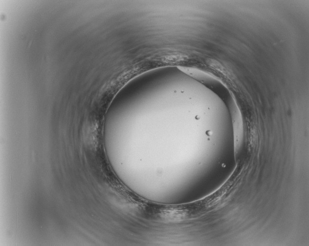 X0000060740319200511171104