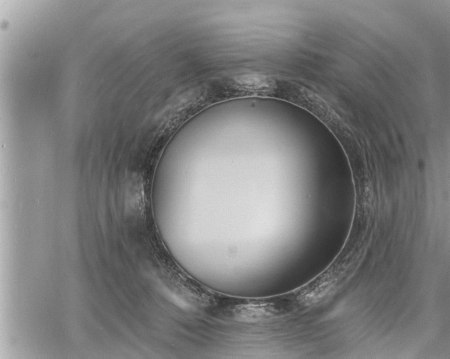 X0000060740320200511171104