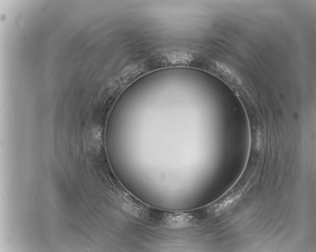 X0000060740321200511171103