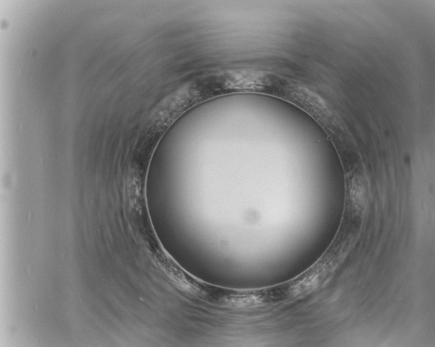 X0000060740322200511171103