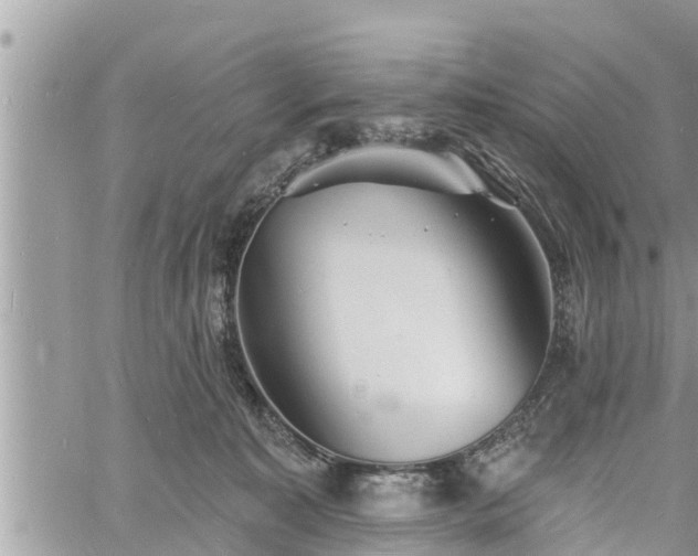 X0000060740323200511171103