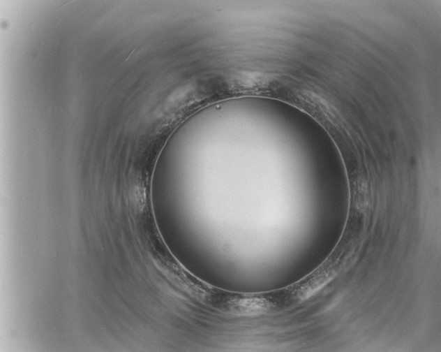 X0000060740324200511171103