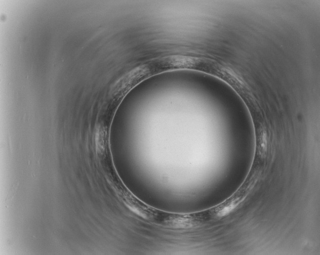 X0000060740325200511171103