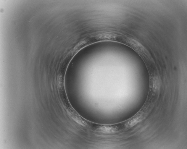 X0000060740326200511171103