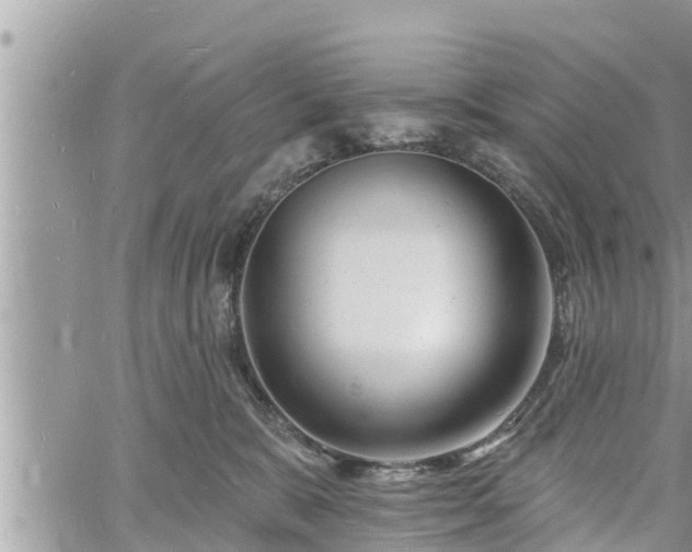 X0000060740327200511171103