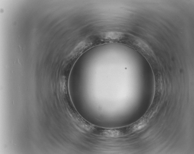 X0000060740328200511171103