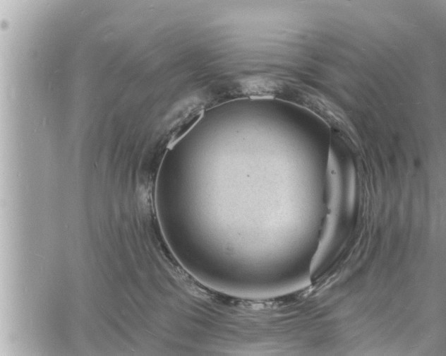 X0000060740329200511171103