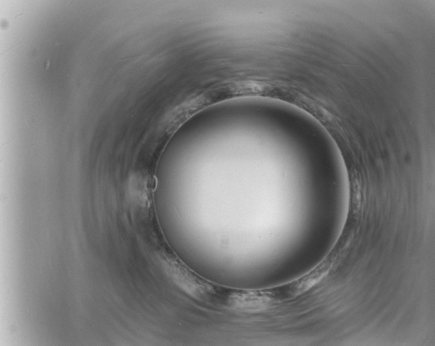 X0000060740331200511171103