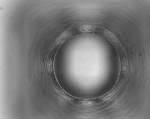 X0000060740332200511171103