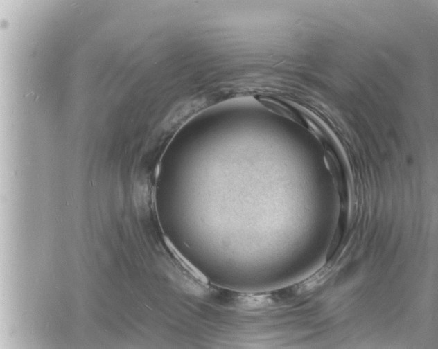 X0000060740333200511171103