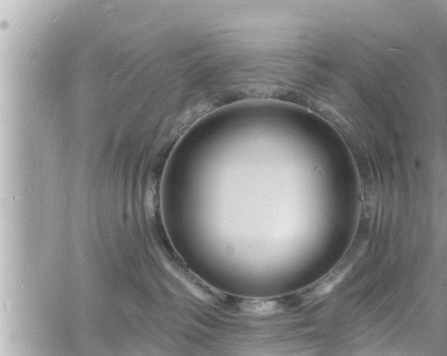 X0000060740334200511171103