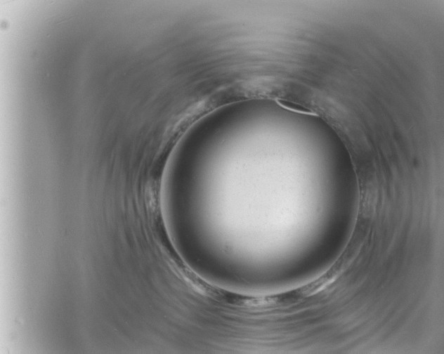 X0000060740335200511171103